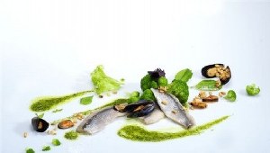 Śledź norweski z bazyliowym pesto, brokułami i małżami