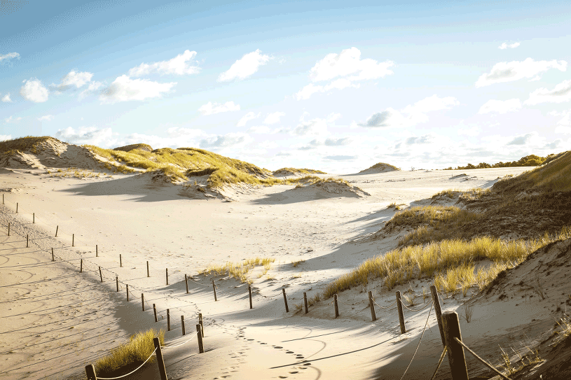 Na Wybrzeżu Słowińskim W Okolicach łeby Występuje Pas Ruchomych Wydm Ruchome wydmy: Słowiński Park Narodowy - styl.pl