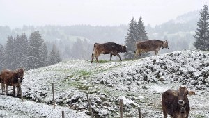 Śnieg pod koniec maja?!