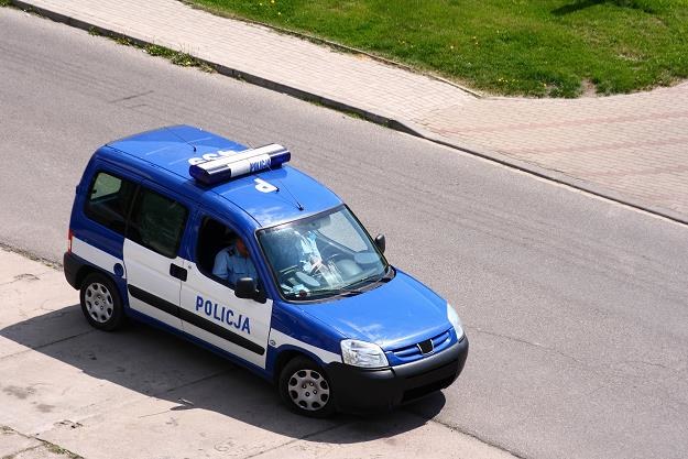 Tragiczny wypadek w akademiku. Student wypadł z okna Sprawą zajmuje się policja Sprawą zajmuje się policja /©123RF/PICSEL
