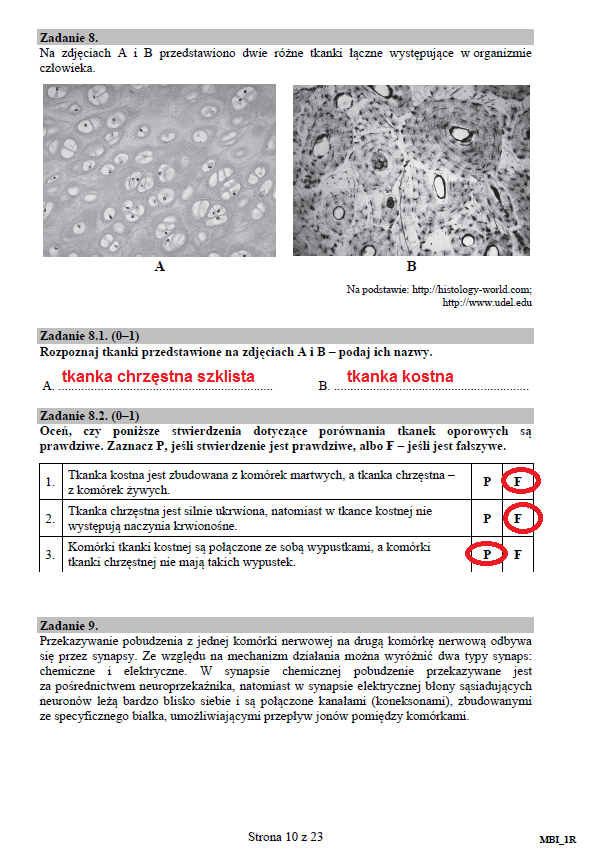 Matura 2017: Biologia - Poziom Rozszerzony. Arkusz I Odpowiedzi - Fakty ...