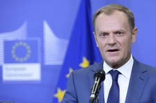Szef konferencji premierów landów i Zieloni w PE krytykują Tuska