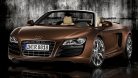Topowe cabrio Audi z pierwszorzędnymi genami – część podzespołów pochodzi z legendarnego włoskiego lamborghini. Prędkość maksymalna wynosi 313 km/h! Tylko dla dwojga. Bagażnik 100 l, ceny od 781 000 zł.