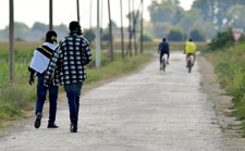 Trzech nielegalnych migrantów z Afryki zatrzymanych w pobliżu Przemyśla