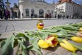 Tulipany dla Marii Kaczyńskiej