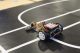 Walki robotów i działo strzelające tornadem, czyli Noc Naukowców