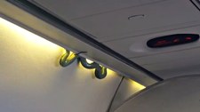 Wąż w samolocie. Horror pasażerów lotu 231