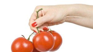 Wegetarianizm: prawdy i mity
