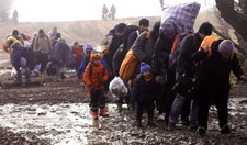 Węgry: Kolejni imigranci skazani za nielegalne przekroczenie granicy