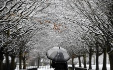 Wielka Brytania nie radzi sobie ze śniegiem. Odwołane loty