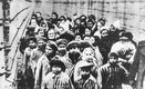 Więźniowie Auschwitz wyprowadzani z obozu przez pielęgniarki i żołnierzy radzieckich