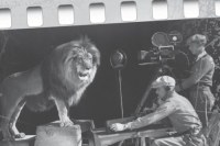 Zaproszenie do Pollywood