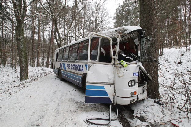 Wypadek autobusu. Pięć osób zostało rannych Zderzenie autobusu z drzewem /PAP