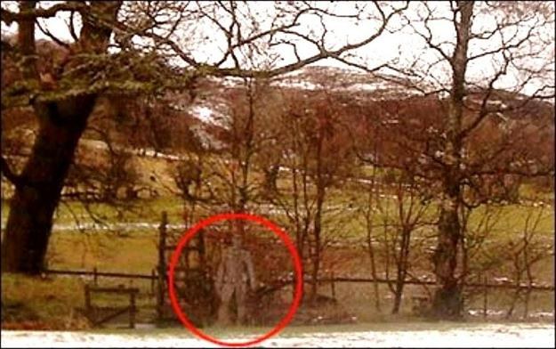 Zjawisko paranormalne? /MWMedia