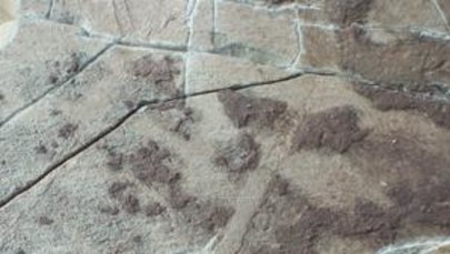 Znaleziono najstarsze ślady na Ziemi