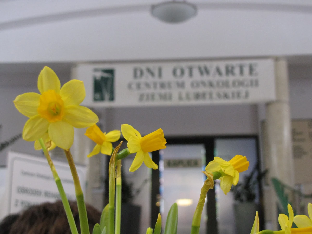  Rakowi też można zapobiec - przekonują onkolodzy. Wczesne wykrycie choroby daje większą szansę całkowitego wyleczenia. W sobotę w całym kraju w ramach drzwi otwartych można było zasięgnąć konsultacji. Do akcji przyłączyły się placówki z całego kraju.