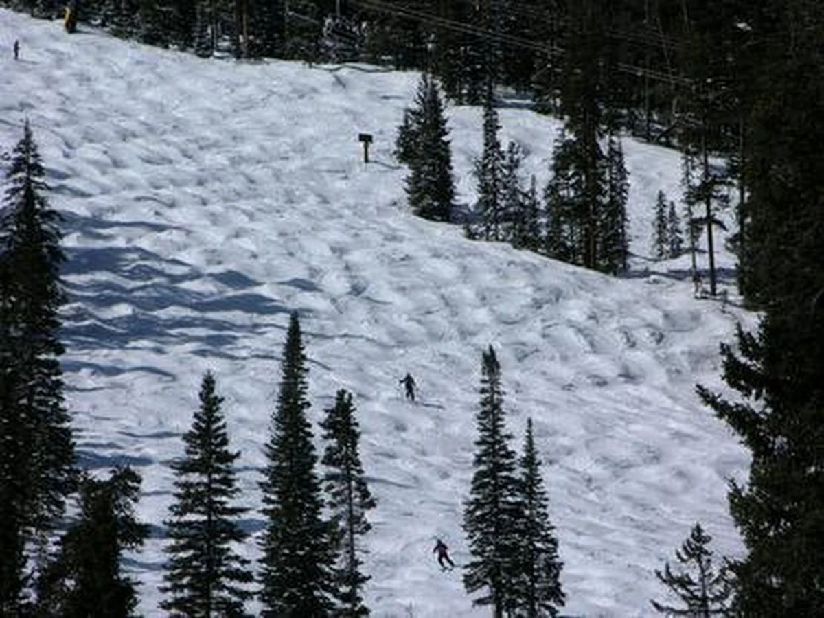 Muldy, podobnie jak wydmy, mogą się poruszać. Naukowcy z Uniwersytetu Colorado w Boulder odkryli właśnie, że muldy na stoku narciarskim pną się w górę. Jak donoszą na łamach czasopisma "Physics Today", im większa liczba narciarzy jedzie w dół, tym szybciej muldy się przemieszczają. 
