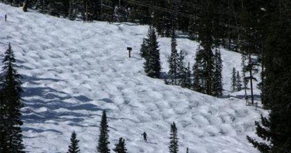 Muldy, podobnie jak wydmy, mogą się poruszać. Naukowcy z Uniwersytetu Colorado w Boulder odkryli właśnie, że muldy na stoku narciarskim pną się w górę. Jak donoszą na łamach czasopisma "Physics Today", im większa liczba narciarzy jedzie w dół, tym szybciej muldy się przemieszczają. 
