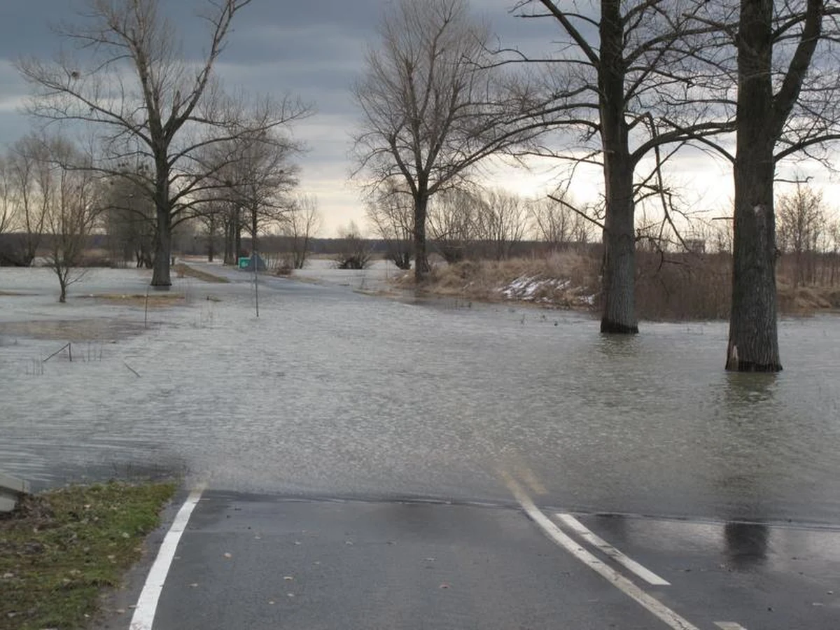 W okolicach podwrocławskich Kotowic woda z rzeki Oława wystąpiła z brzegów i zalała dwie z trzech dróg dojazdowych do miejscowości. Na odcinku prawie 100 metrów jezdnię przykrywa kilkudziesięciocentymetrowa warstwa wody. Jedyna droga do Wrocławia prowadzi dłuższym o ponad 20 km objazdem.