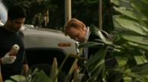 Zdjęcie ilustracyjne CSI: Kryminalne zagadki Miami odcinek 7 
