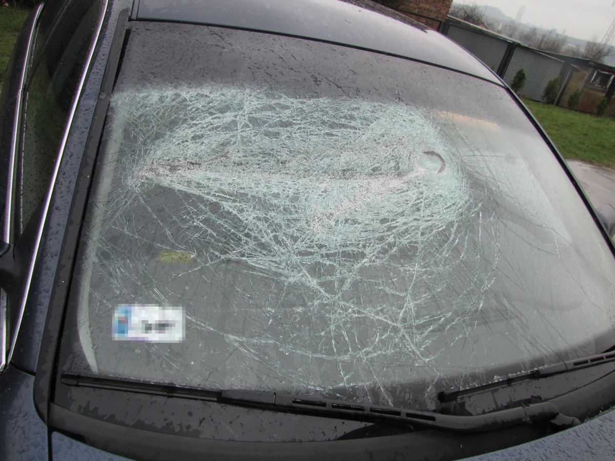 Policja ma już pierwsze zeznania na temat "wjazdu" kiboli do sali gimnastycznej w mysłowickiej dzielnicy Wesoła - nieoficjalnie dowiedział się reporter RMF FM Piotr Glinkowski. Sprawą czwartkowej napaści zajęła się też prokuratura. Naszemu reporterowi udało się porozmawiać z jednym z poturbowanych. Chłopak ma obrażenia głowy, złamaną rękę i stłuczenia. Mówi jednak, że... nie było tak źle.