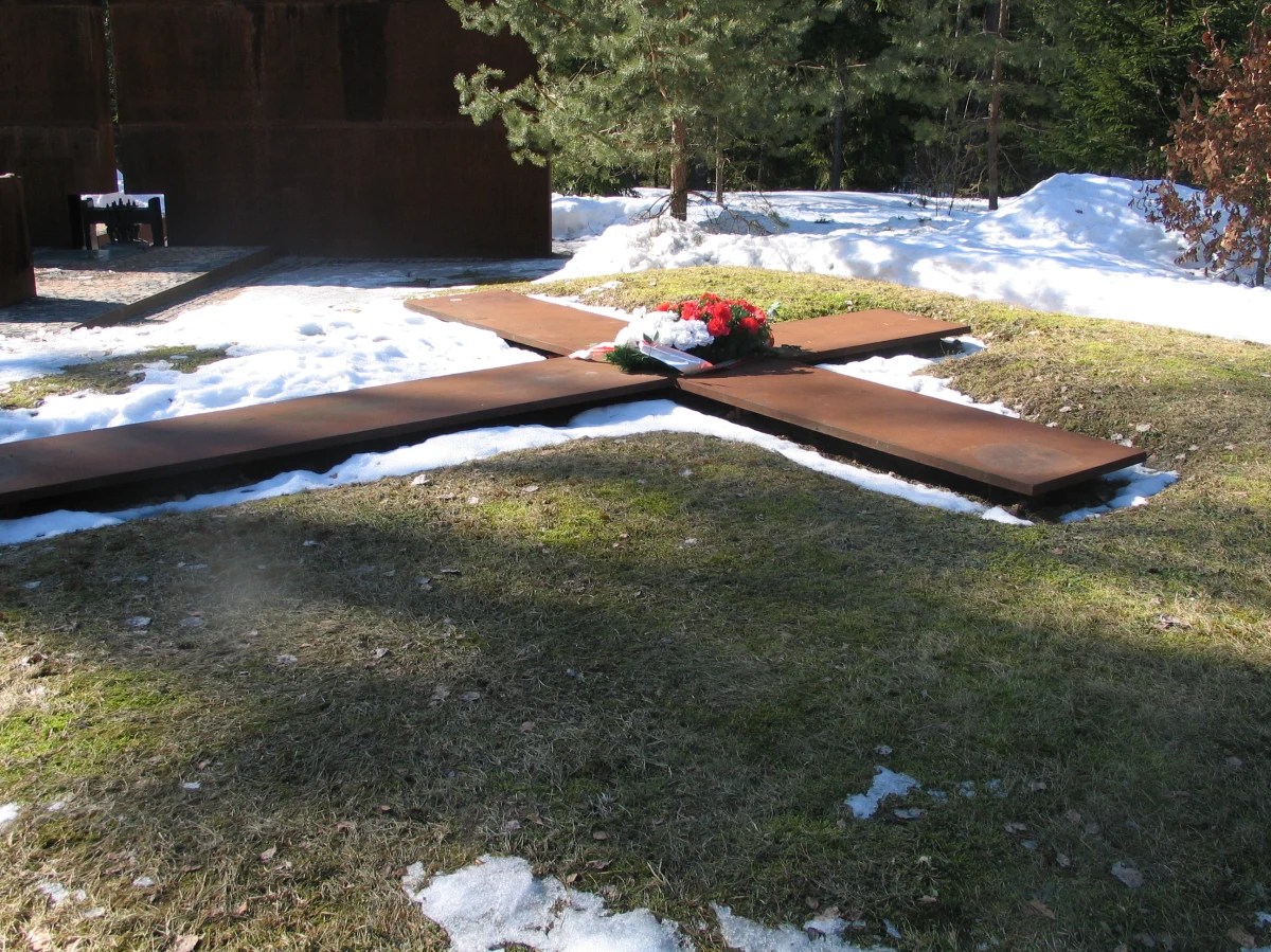 Donald Tusk i Władimir Putin złożyli wieńce i zapalili znicze na polsko-rosyjskim cmentarzu w Katyniu. W Lesie Katyńskim trwają uroczystości z udziałem szefów polskiego i rosyjskiego rządu upamiętniające polskich oficerów zamordowanych przez NKWD w 1940 r.