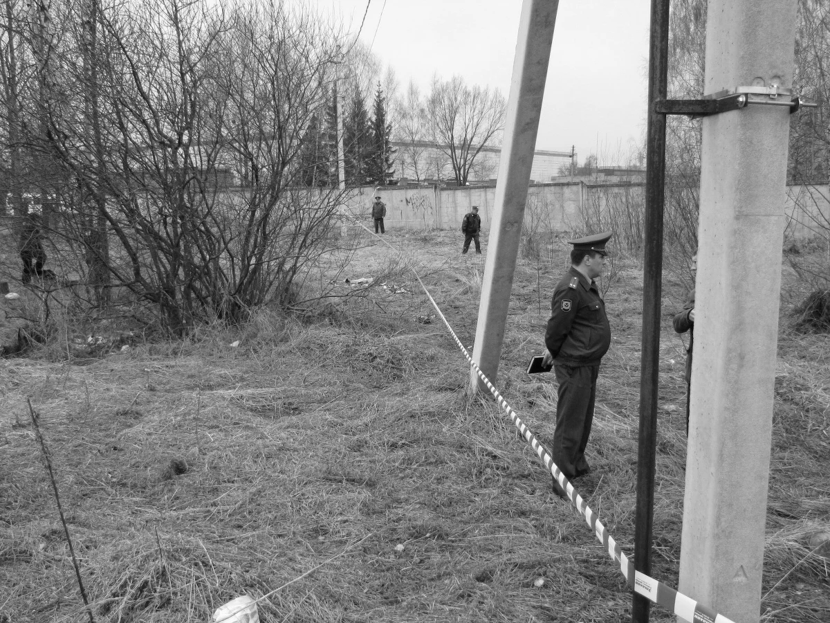 Polski resort dyplomacji wciąż nie ma pewnych informacji na temat przyczyn katastrofy prezydenckiego samolotu w Smoleńsku. Według naocznych świadków, maszyna podchodząc do lądowania zahaczyła skrzydłem o drzewa. Telewizja Wiesti-24 podała natomiast, że samolot rozbił się w czasie czwartego podejścia do lądowania.