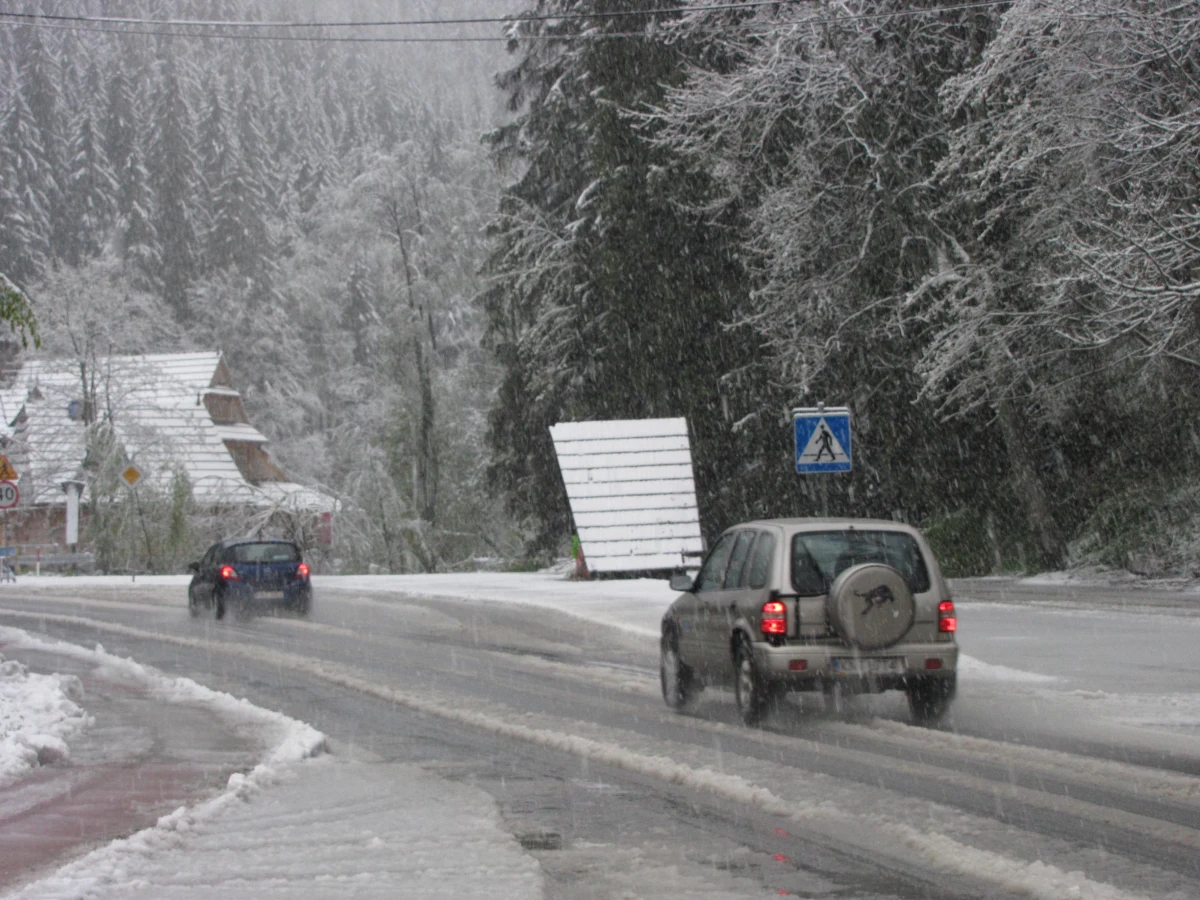 Nad Zakopanem przechodzi prawdziwa śnieżyca. Na drodze w kierunku Kościeliska leży już około 5 centymetrów mokrego, rozjeżdżonego śniegu. Samochody na letnich oponach mają duże problemy na zjazdach i zakrętach - trzeba bardzo uważać. Na ulice wyjechały też już pierwsze pługi śnieżne.