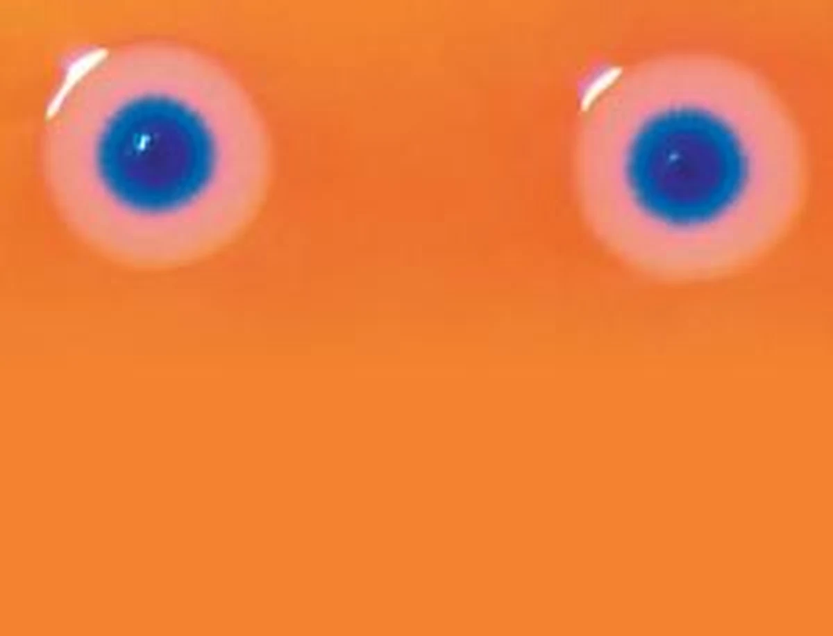 Po raz pierwszy w historii naukowcy stworzyli namiastkę sztucznego życia. To kod genetyczny bakterii sklejony z drobniejszych fragmentów DNA i wbudowany w komórkę innej bakterii. Dokonała tego grupa naukowców pod kierunkiem pioniera badań genomu, Craiga Ventera, założyciela J. Craig Venter Institute w Rockville.