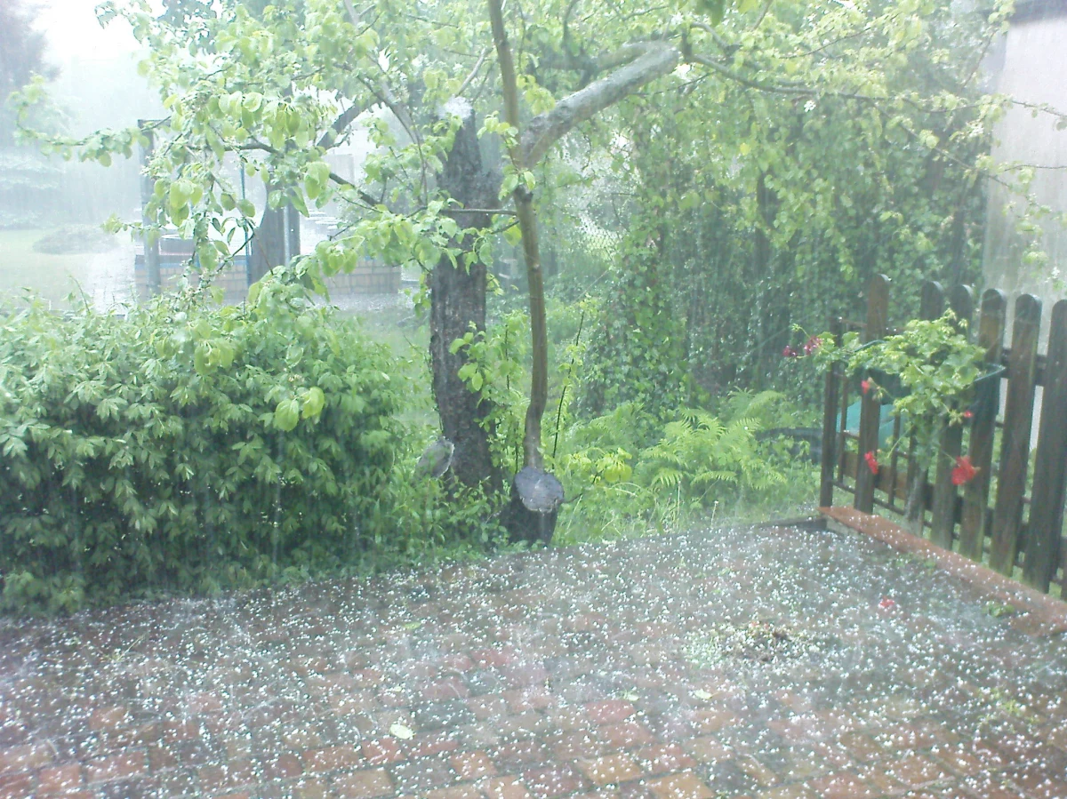 Kilkaset informacji i zdjęć, kilkadziesiąt filmów ukazujących niszczycielską siłę żywiołu. Cały czas otrzymujemy od Was sygnały dotyczące powodzi. Poniżej znajdziecie aktualizowaną na bieżąco informację o zagrożeniach, apele o pomoc i oferty pomocy. Poinformujcie nas i innych!