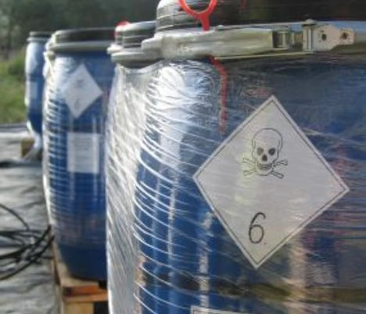 Dziewiętnaście ton toksycznych odpadów zatruwa Podlasie. I na razie nikt nic z tym nie robi. Pod koniec ubiegłego roku Regionalna Dyrekcja Ochrony Środowiska w Białymstoku zidentyfikowała i opisała pięć tak zwanych mogilników, czyli miejsc, gdzie składowano przeterminowane środki ochrony roślin, w tym pestycydy. Mogilniki miały być w tym roku likwidowane. Ale nie są, bo nie ma chętnego, by się za to zabrać.