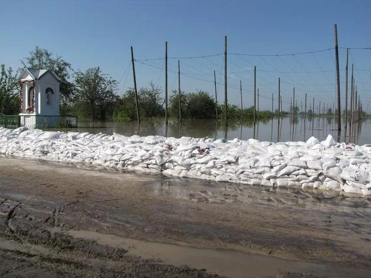 Poszkodowani przez powódź sadownicy i chmielarze z Wilkowa będą pozbawieni źródła dochodów przez najbliższe 3-4 lata. Mieszkańcy gminy, która w 90 procentach została zalana, są w wyjątkowo ciężkiej sytuacji. Resort rolnictwa próbuje jednak uspokoić rolników.