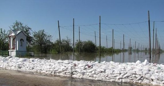 Poszkodowani przez powódź sadownicy i chmielarze z Wilkowa będą pozbawieni źródła dochodów przez najbliższe 3-4 lata. Mieszkańcy gminy, która w 90 procentach została zalana, są w wyjątkowo ciężkiej sytuacji. Resort rolnictwa próbuje jednak uspokoić rolników.