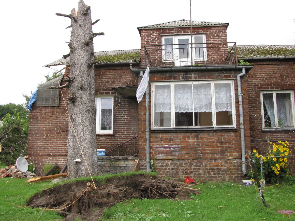 Niszczyło wszystko co spotkało na swojej drodze. Powalone drzewa, uszkodzone drogi, zerwane linie energetyczne i wreszcie dachy. Przez cały dzień mieszkańcy Lubelszczyzny usuwali skutki piątkowej nawałnicy.