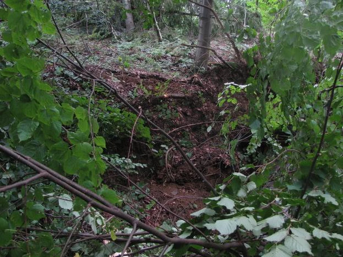 Osuwisko na zboczu góry Prusów ma już około 200 metrów długości. Wczoraj runął dom, z którego w piątek ewakuowano mieszkańców. Ci, których ewakuowano - w sumie 9 osób - mieszkają u bliskich i sąsiadów.