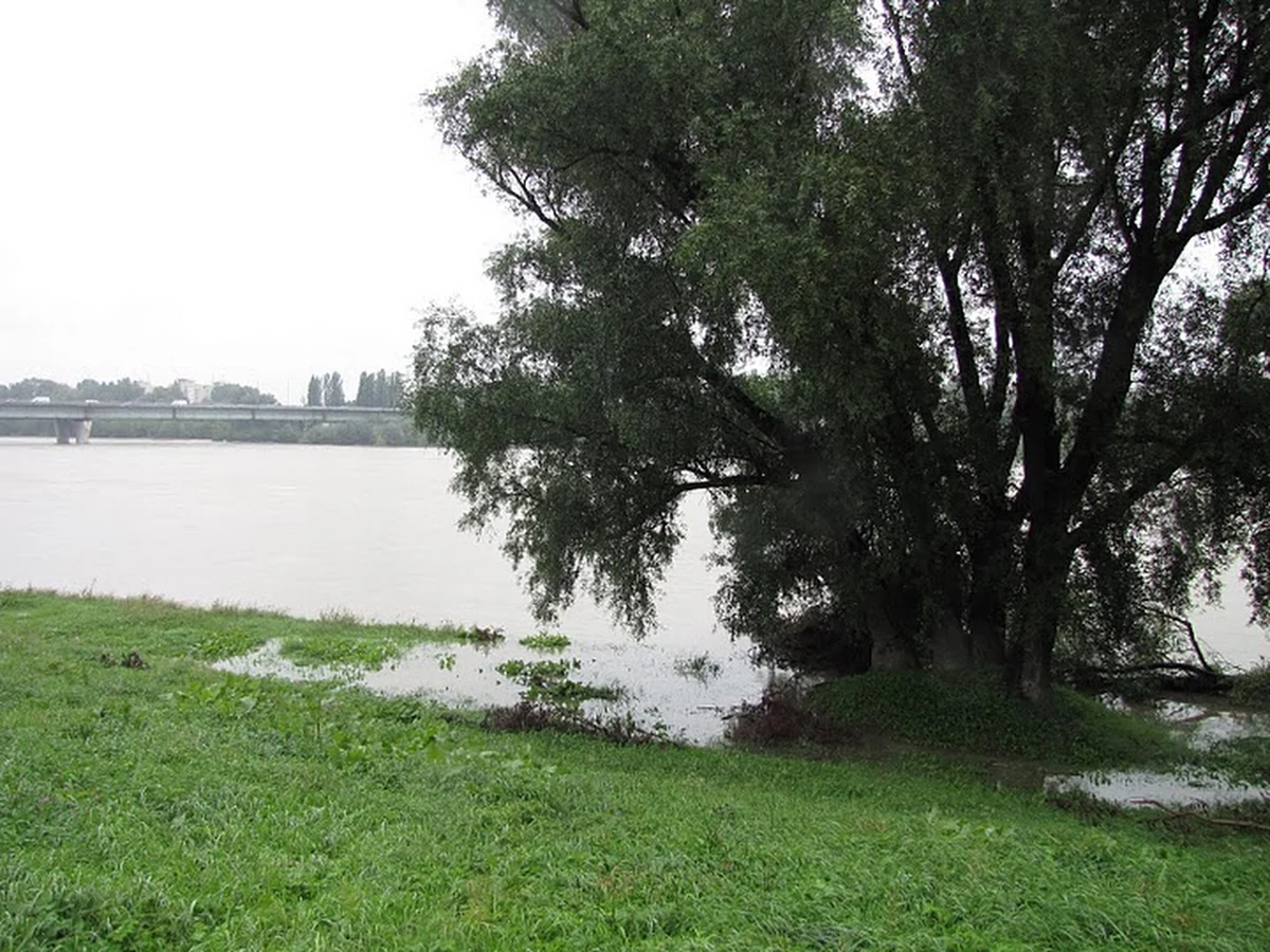  Deszczowo ma być do piątku, ale opady - jak uspokaja Instytutu Meteorologii i Gospodarki Wodnej - nie wpłyną znacznie na wysokość poziomu wody w Wiśle i Odrze. Stany alarmowe na rzekach będą przekroczone głównie w związku z przemieszczaniem się fali kulminacyjnej. Woda nie powinna przelewać się przez wały. Opady mogą jednak spowodować lokalne podtopienia na terenach rzek nizinnych.