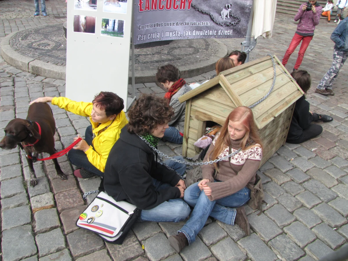 Tysiące ludzi przywiązało się dziś do psich bud w centrach miast by wesprzeć akcję "Zerwij łańcuchy". Widok ludzi siedzących przy budzie z łańcuchem na szyi ma zwrócić uwagę na nieludzkie i staroświeckie traktowanie zwierząt.