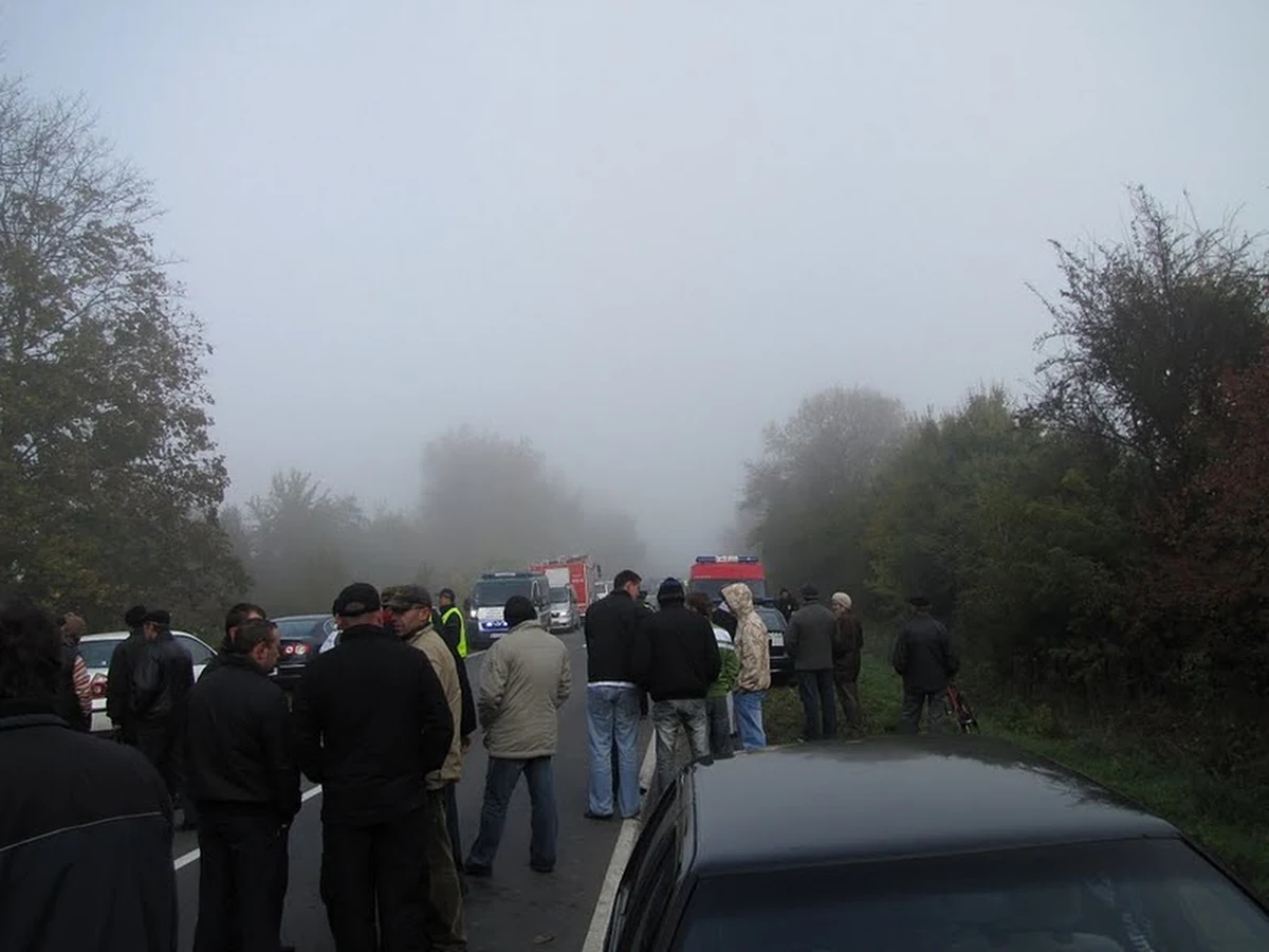 Ranny jest kierowca samochodu ciężarowego. Jego obrażenia nie wskazują na to, że coś mu będzie zagrażać - mówi w rozmowie z dziennikarzami RMF FM Tomasz Skura, dyrektor Zakładu Opieki Zdrowotnej w Nowym Mieście nad Pilicą. Jak zaznacza, miejsce wypadku wygląda dramatycznie, a wiek ofiar waha się od 20 do ponad 60 lat.