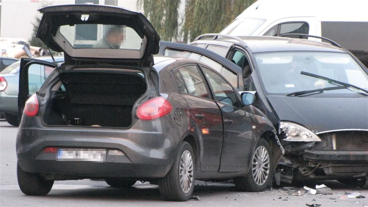 Zarzut czynnej napaści na policjanta i kradzieży z włamaniem usłyszał Tomasz L., zatrzymany podczas niedzielnej akcji w Gdańsku. Policja próbowała zatrzymać przestępców w kradzionym samochodzie. Bandyci staranowali radiowóz. Dwóch funkcjonariuszy zostało rannych. Jeden z bandytów zginął, drugi uciekł, trzeci - Tomasz L. - został schwytany.