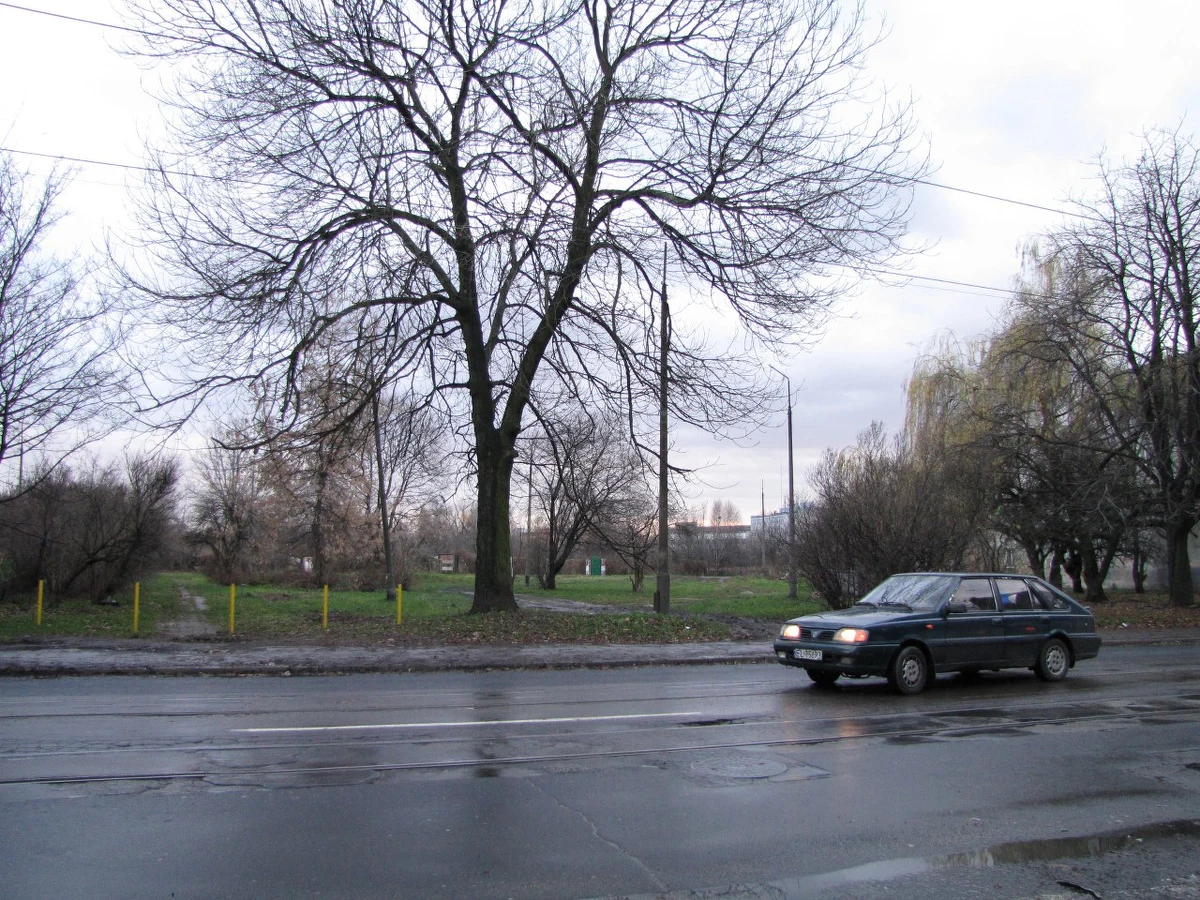 Nie ma podstaw, żeby kwestionować wiarygodność zeznań 10-latki, która przed tygodniem została zgwałcona w Łodzi przy ulicy Wojska Polskiego - wynika z opinii biegłego psychologa. Specjalista oceniał inteligencję, stopień wiarygodności i poziom rozwoju dziecka. Już wiadomo, że 10-latka opowiadała w tzw. niebieskim pokoju składnie i wiarygodnie. Dziś opinię otrzymała Prokuratura Rejonowa Łódź-Bałuty.