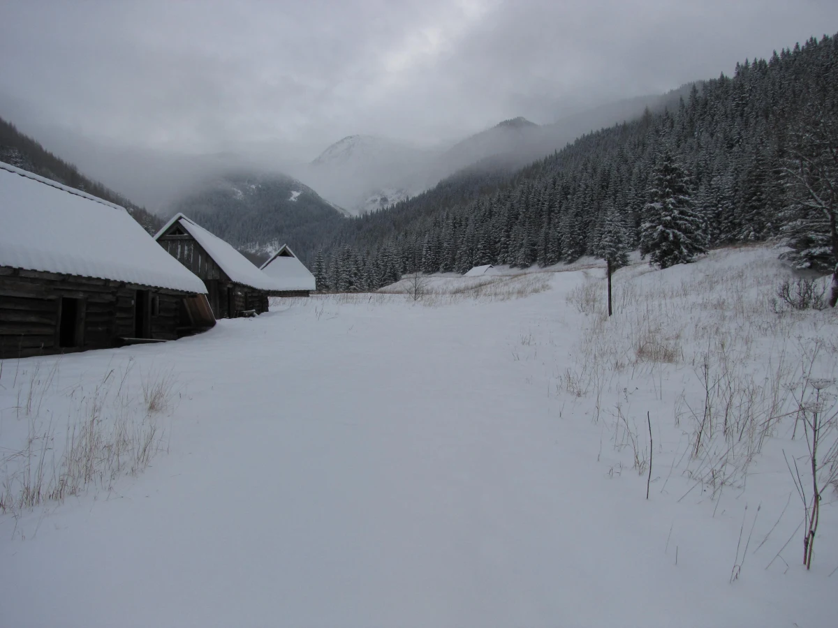 Pierwszy, najniższy stopień zagrożenia lawinowego obowiązuje w Tatrach. Ratownicy TOPR ogłosili go po raz pierwszy w tym sezonie. Na Kasprowym Wierchu leży 33 cm śniegu. Synoptycy przewidują dalsze opady, ostrzegają też przed mrozem - termometry wskażą nawet minus 16 stopni Celsjusza.