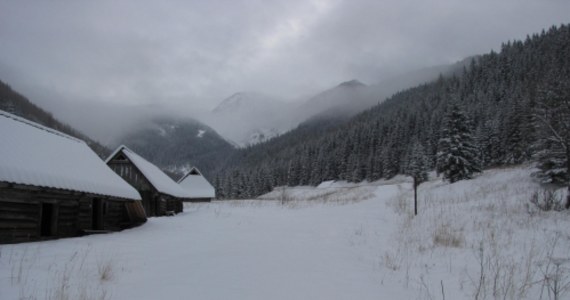Pierwszy, najniższy stopień zagrożenia lawinowego obowiązuje w Tatrach. Ratownicy TOPR ogłosili go po raz pierwszy w tym sezonie. Na Kasprowym Wierchu leży 33 cm śniegu. Synoptycy przewidują dalsze opady, ostrzegają też przed mrozem - termometry wskażą nawet minus 16 stopni Celsjusza.