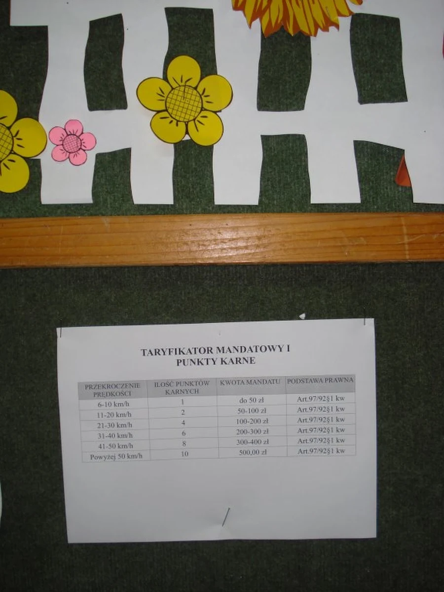 Trzy dni i ponad trzy tysiące zdjęć - to dorobek fotoradaru ustawionego we wsi Kochanowice koło Częstochowy. Urządzenie fotografowało samochody jadące z prędkością powyżej 70 km/h w terenie zabudowanym.