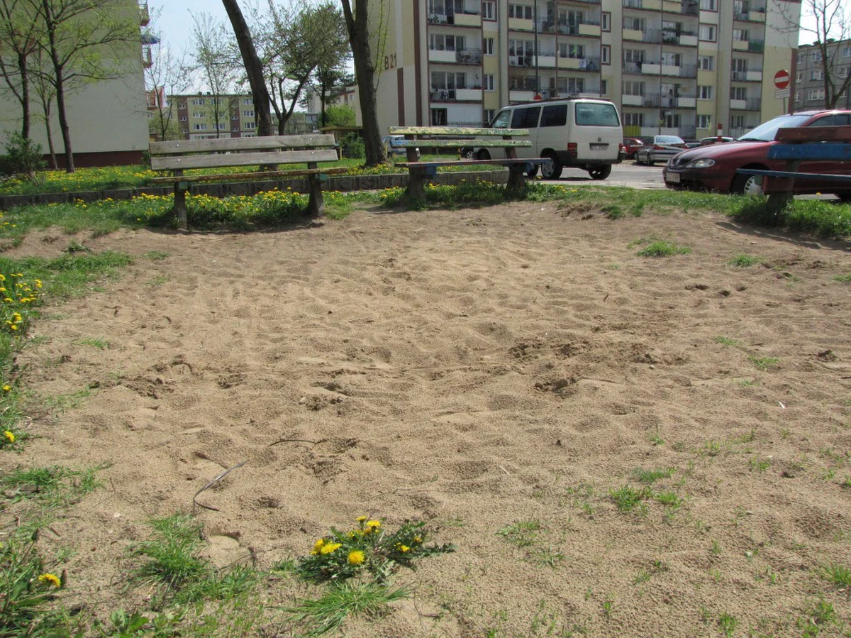 Z początkiem wiosny Sanepid przypomniał wszystkim administratorom nieruchomości na Pomorzu Zachodnim, by zabezpieczyli piaskownice przed dostępem zwierząt. Chodzi o to, by psy, koty i ptactwo nie zanieczyszczały miejsc, w których bawią się dzieci. Specyficznie do sprawy podeszła stargardzka spółdzielnia mieszkaniowa, która piaskownice po prostu zlikwidowała.