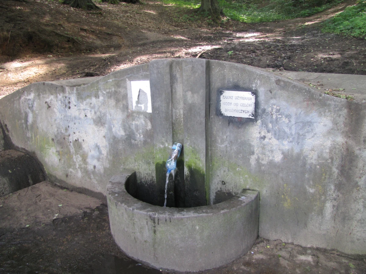 Źródełko nad poznańską Maltą skażone bakterią coli. Sanepid przestrzega, że pod żadnym pozorem nie wolno jej pić.  Trzeba zwrócić szczególną uwagę na ten zakaz, bo woda ze źródełka od lat słynie z niezwykłego smaku.