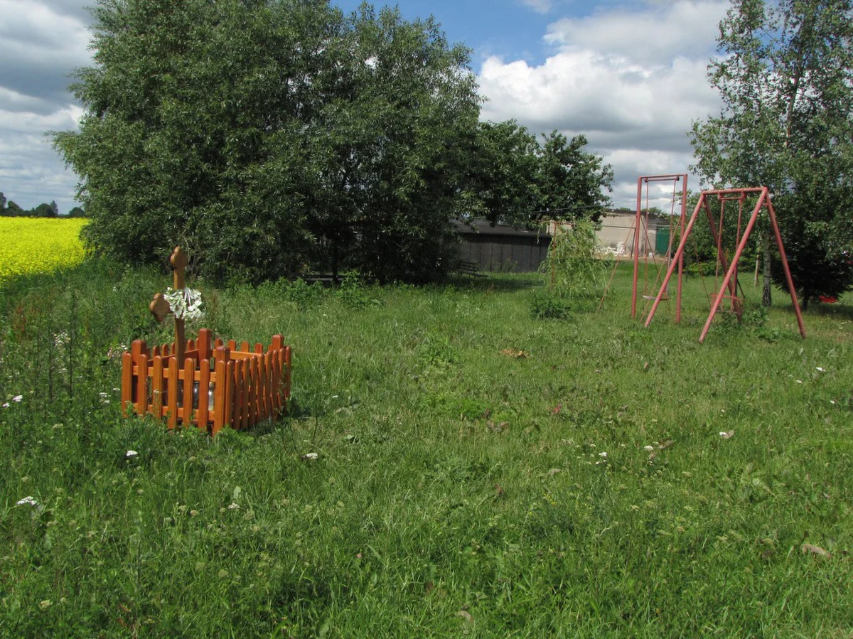 Prokuratura w Nowym Mieście Lubawskim oskarżyła dwóch właścicieli psów o nieumyślne spowodowanie śmierci 5-letniego chłopca z Katlewa w Warmińsko-Mazurskiem. Zwierzęta pod koniec lutego zagryzły dziecko na placu zabaw. Psy bardzo często włóczyły się po Katlewie bez żadnego nadzoru.