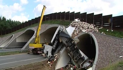 Białoruski tir uderzył w ścianę wiaduktu na A2