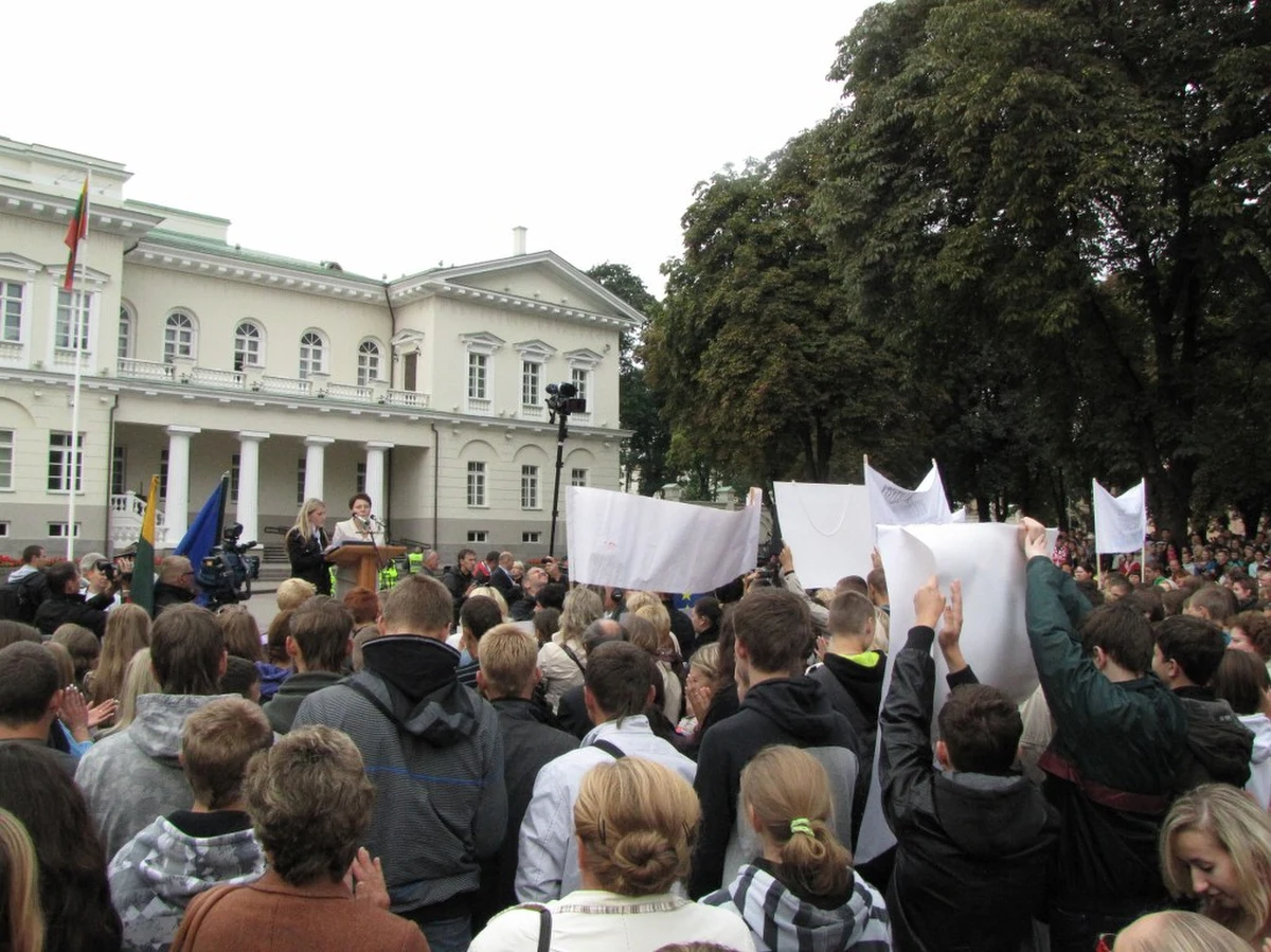 Przeciwko nowej ustawie oświatowej protestowało przed pałacem prezydenckim w Wilnie 5 tysięcy osób. W konsekwencji uczniowie nie poszli na lekcje. Polacy wskazują też na inne elementy dyskryminacji: brak ustawy o mniejszościach narodowych, czy zakaz używania polskiej pisowni nazwisk oraz nazw miejscowości.