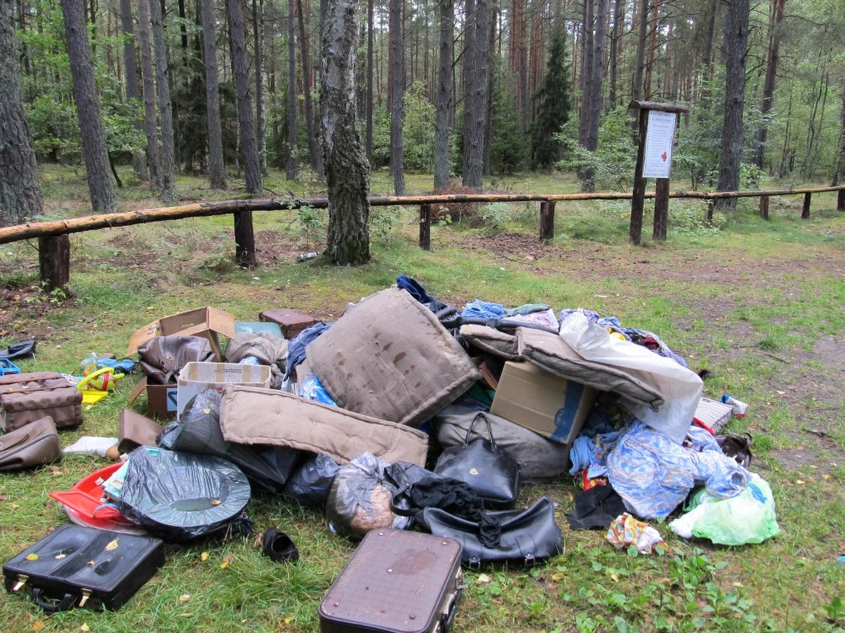Leśnicy na Warmii i Mazurach podsumowali letni sezon. Tylko od początku lipca do połowy sierpnia odnotowali około 700 wykroczeń. Głównie chodziło o wjazd samochodem do lasu, ale także o wyrzucanie tam śmieci.