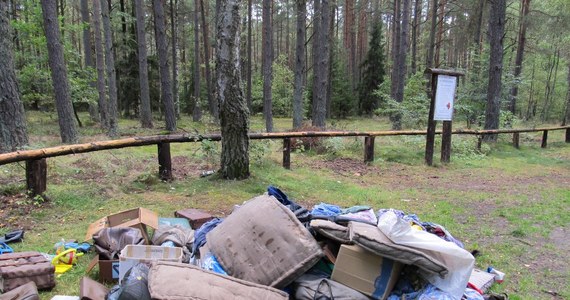 Leśnicy na Warmii i Mazurach podsumowali letni sezon. Tylko od początku lipca do połowy sierpnia odnotowali około 700 wykroczeń. Głównie chodziło o wjazd samochodem do lasu, ale także o wyrzucanie tam śmieci.